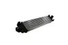 Інтеркулер FORD C-MAX, C-MAX II, FOCUS C-MAX, FOCUS II, FOCUS III, MONDEO IV, S-MAX MAZDA 3 1.6D-2.5 10.03-06.19 THERMOTEC DAG002TT (фото 1)