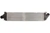 Інтеркулер VOLVO S80 II FORD C-MAX, C-MAX II, FOCUS C-MAX, FOCUS II, FOCUS III, GALAXY II, GRAND C-MAX, KUGA II, MONDEO IV, S-MAX 1.6D-2.4D 10.03-12.19 THERMOTEC DAG013TT (фото 1)