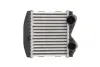 Інтеркулер SMART CABRIO, CITY-COUPE, FORTWO 0.6/0.7 07.98-01.07 THERMOTEC DAM012TT (фото 1)