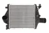 Інтеркулер MERCEDES V (638/2), VITO (W638) 2.2D/2.3 08.96-07.03 THERMOTEC DAM013TT (фото 1)