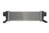 Інтеркулер MERCEDES A (W168), VANEO (414) 1.7D 07.98-07.05 THERMOTEC DAM023TT (фото 1)