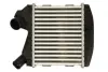 Інтеркулер SMART CABRIO, CITY-COUPE, FORTWO 0.8D 11.99-01.07 THERMOTEC DAM031TT (фото 1)