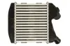 Інтеркулер SMART CABRIO, CITY-COUPE, FORTWO 0.8D 11.99-01.07 THERMOTEC DAM031TT (фото 2)