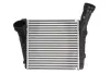 Інтеркулер AUDI Q7 PORSCHE CAYENNE VW TOUAREG 3.0/3.0D/4.2D 11.04- THERMOTEC DAN001TT (фото 1)