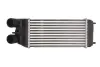 Інтеркулер DS DS 3 CITROEN C3 / C3 ORIGIN III, C3 II, C3 PICASSO, C4 CACTUS, C-ELYSEE, DS3 PEUGEOT 2008 I, 208 I, 208/HATCHBACK, 301, PARTNER TEPEE 1.2-1.6D 11.09- THERMOTEC DAP003TT (фото 1)