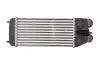 Інтеркулер DS DS 3 CITROEN C3 / C3 ORIGIN III, C3 II, C3 PICASSO, C4 CACTUS, C-ELYSEE, DS3 PEUGEOT 2008 I, 208 I, 208/HATCHBACK, 301, PARTNER TEPEE 1.2-1.6D 11.09- THERMOTEC DAP003TT (фото 2)