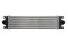 Інтеркулер NISSAN INTERSTAR OPEL MOVANO A RENAULT MASTER II 1.9D-3.0D 12.97- Thermotec DAR002TT (фото 1)