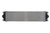 Інтеркулер NISSAN INTERSTAR OPEL MOVANO A RENAULT MASTER II 1.9D-3.0D 12.97- Thermotec DAR002TT (фото 2)