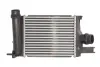Інтеркулер DACIA DOKKER, DOKKER EXPRESS/MINIVAN, DUSTER, DUSTER/SUV, LODGY, LOGAN II, LOGAN MCV II, SANDERO II RENAULT ARKANA I, CAPTUR I, CLIO IV, CLIO IV/HATCHBACK 0.9-1.6LPG 02.08- THERMOTEC DAR004TT (фото 1)