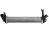 Інтеркулер NISSAN KUBISTAR RENAULT KANGOO, KANGOO EXPRESS 1.5D 12.01- THERMOTEC DAR007TT (фото 1)