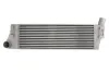 Інтеркулер RENAULT GRAND SCENIC II, MEGANE II, SCENIC II 1.5D/1.9D/2.0 09.02- THERMOTEC DAR012TT (фото 1)