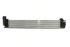 Інтеркулер DACIA DUSTER, DUSTER/SUV RENAULT DUSTER 1.5D 04.10- THERMOTEC DAR014TT (фото 2)