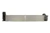 Інтеркулер RENAULT FLUENCE, GRAND SCENIC III, MEGANE, MEGANE III, SCENIC III 1.6D/1.9D/2.0 11.08- THERMOTEC DAR021TT (фото 1)