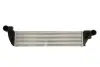 Інтеркулер RENAULT ESPACE IV, LAGUNA II, VEL SATIS 1.9D/2.0D/2.2D 04.04- THERMOTEC DAR024TT (фото 1)