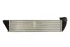 Інтеркулер RENAULT ESPACE IV, LAGUNA II, VEL SATIS 1.9D/2.0D/2.2D 04.04- THERMOTEC DAR024TT (фото 2)