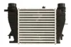 Інтеркулер NISSAN NOTE, NV200, NV200 / EVALIA RENAULT CLIO III, CLIO III/HATCHBACK, MODUS 1.5D 06.05- THERMOTEC DAR027TT (фото 2)