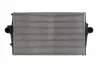Інтеркулер (з отвором під датчик) VOLVO S60 I, S80 I, V70 II, XC70 I 2.0-2.5D 01.99-04.10 THERMOTEC DAV002TT (фото 1)