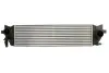 Інтеркулер VOLVO S60 III, S90 II, V60 I, V60 II, V90 II, XC60 II, XC90 II 2.0/2.0D/2.0H 09.14- THERMOTEC DAV013TT (фото 1)