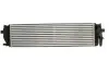 Інтеркулер VOLVO S60 III, S90 II, V60 I, V60 II, V90 II, XC60 II, XC90 II 2.0/2.0D/2.0H 09.14- THERMOTEC DAV013TT (фото 2)