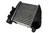 Інтеркулер AUDI A3, TT SEAT LEON, TOLEDO II SKODA OCTAVIA I VW BORA, BORA I, GOLF II, GOLF IV 1.4-1.9D 10.86-12.10 THERMOTEC DAW001TT (фото 1)