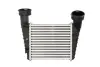 Інтеркулер SKODA SUPERB I VW PASSAT B5, PASSAT B5.5 1.9D/2.0D 02.00-03.08 THERMOTEC DAW003TT (фото 1)