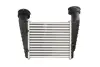 Інтеркулер SKODA SUPERB I VW PASSAT B5, PASSAT B5.5 1.9D/2.0D 02.00-03.08 THERMOTEC DAW003TT (фото 2)