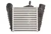 Інтеркулер SEAT CORDOBA, IBIZA III SKODA FABIA I, FABIA I PRAKTIK, FABIA II, ROOMSTER, ROOMSTER PRAKTIK VW FOX, POLO, POLO IV 1.4-1.9D 08.99- THERMOTEC DAW006TT (фото 2)