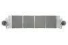 Впускний охолоджувач повітря THERMOTEC DAW007TT (фото 1)