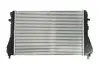 Інтеркулер SEAT ALHAMBRA VW CC B7, PASSAT ALLTRACK B7, PASSAT B6, PASSAT B7, PASSAT B7/KOMBI, SHARAN, TIGUAN, TOURAN 1.4-3.6 08.03-12.22 THERMOTEC DAW009TT (фото 2)