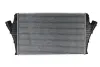 Інтеркулер OPEL SIGNUM, VECTRA C, VECTRA C GTS 2.0D/2.2D 04.02-08.06 THERMOTEC DAX002TT (фото 1)