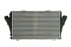 Інтеркулер CADILLAC BLS FIAT CROMA OPEL SIGNUM, VECTRA C, VECTRA C GTS 1.9D/2.4D 04.04- THERMOTEC DAX011TT (фото 2)