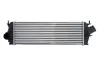 Інтеркулер NISSAN PRIMASTAR OPEL VIVARO A RENAULT TRAFIC II 2.0D/2.5D 04.03- THERMOTEC DAX014TT (фото 1)