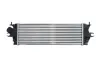 Інтеркулер NISSAN PRIMASTAR OPEL VIVARO A RENAULT TRAFIC II 2.0D/2.5D 04.03- THERMOTEC DAX014TT (фото 2)