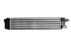 Інтеркулер FIAT TALENTO NISSAN NV300 OPEL VIVARO B RENAULT TRAFIC III 1.6D 05.14- THERMOTEC DAX018TT (фото 2)