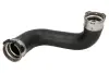 Шланг інтеркулера NISSAN NAVARA, NAVARA NP300, PATHFINDER III 2.5D 02.02- THERMOTEC DC1113TT (фото 1)