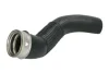 Шланг інтеркулера BMW X5 (E70), X6 (E71, E72) RENAULT MASTER III 2.3D/3.0D 10.08- THERMOTEC DCB151TT (фото 1)