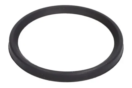 Ущільнювач патрубка інтеркулера RENAULT FLUENCE, MEGANE III, MEGANE IV, SCENIC III, SCENIC IV, TALISMAN 1.5D/1.6D 11.08- Thermotec DCC079TT