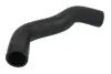 Шланг інтеркулера ALFA ROMEO MITO FIAT GRANDE PUNTO, PUNTO, PUNTO EVO, PUNTO EVO/HATCHBACK, PUNTO/HATCHBACK 1.3D 08.08- THERMOTEC DCF145TT (фото 1)