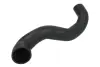 Шланг інтеркулера FORD GALAXY II, MONDEO IV, S-MAX 2.0D 05.06-06.15 THERMOTEC DCG273TT (фото 1)