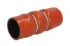 Шланг інтеркулера (передн) CITROEN C3 II, C3 PICASSO, C4 CACTUS, C-ELYSEE, DS3 PEUGEOT 1007, 2008 I, 207, 208 I, 208/HATCHBACK, 301 1.5D/1.6D 02.06- THERMOTEC DCP021TTS (фото 1)