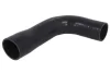 Шланг інтеркулера RENAULT MEGANE I, SCENIC I 1.9D 03.99-08.03 THERMOTEC DCR207TT (фото 1)