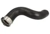 Шланг інтеркулера (довг) RENAULT GRAND SCENIC III, MEGANE, MEGANE III, SCENIC III 1.9D 11.08-09.16 THERMOTEC DCR294TT (фото 1)