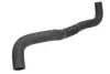 Шланг гумовий системи охолодження Нижн HYUNDAI TUCSON KIA SPORTAGE II, SPORTAGE III 2.0D 08.04-12.15 THERMOTEC DW0502TT (фото 1)