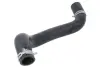 Шланг гумовий системи охолодження Нижн HYUNDAI I30 1.6D/2.0D 10.07-06.12 THERMOTEC DW0527TT (фото 1)