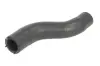 Шланг гумовий системи охолодження HYUNDAI ELANTRA III, SANTA FÉ I, TRAJET, TUCSON KIA CARENS II, CERATO I, SPORTAGE II 2.0D 04.01-03.10 THERMOTEC DW0577TT (фото 1)