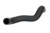 Шланг гумовий системи охолодження Нижн MAZDA 323 C V, 323 F V, 323 P V, 323 S V 1.5 07.94-09.98 THERMOTEC DW3014TT (фото 1)