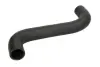 Шланг гумовий системи охолодження Верх SUBARU FORESTER, IMPREZA, LEGACY IV, WRX 1.5-2.5 09.03- THERMOTEC DW7001TT (фото 1)