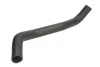 Фото 1 - шланг гумовий системи охолодження Нижн SUZUKI GRAND VITARA II 1.6-3.2 04.05- THERMOTEC DW8007TT Шланг гумовий системи охолодження Нижн SUZUKI GRAND VITARA II 1.6-3.2 04.05- THERMOTEC DW8007TT (фото 1)