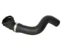Шланг гумовий системи охолодження Нижн FIAT DOBLO, DOBLO CARGO 1.3D 02.10- THERMOTEC DWF136TT (фото 1)