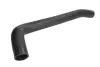 Шланг гумовий системи охолодження Нижн FIAT DUCATO 2.3D 12.01-07.06 THERMOTEC DWF301TT (фото 1)